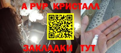 шишки Будённовск