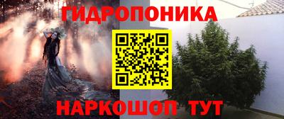 шишки Будённовск