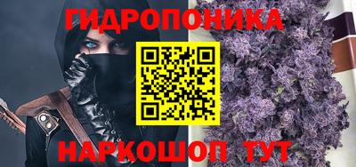 шишки Будённовск