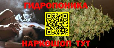 мяу мяу мука Бузулук