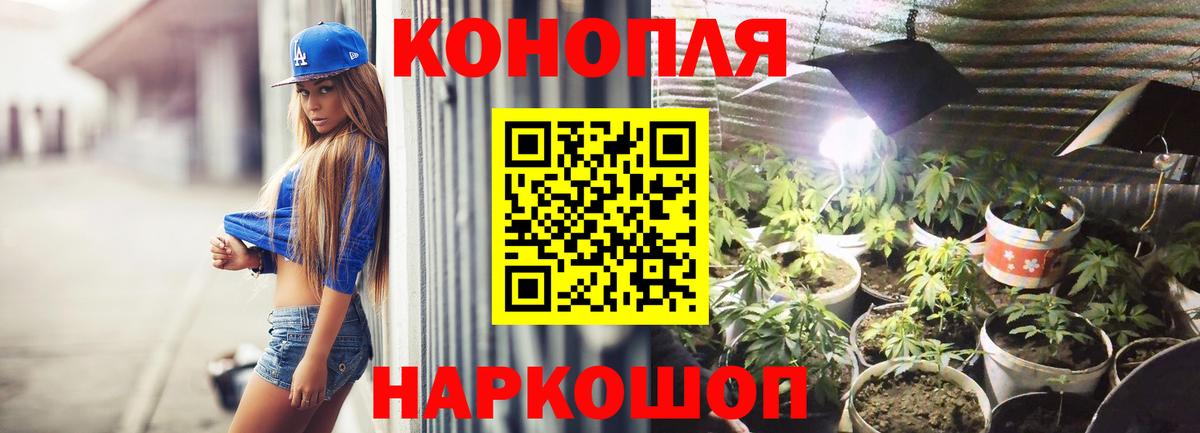 Каннабис SATIVA & INDICA  Вход с VPN  Канабис ГИДРОПОН  Каннабис White Widow  Чайковский 