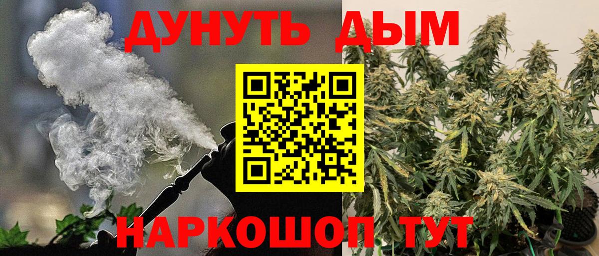 Конопля гибрид Чайковский